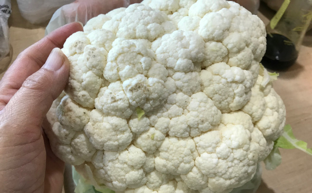 激安激カワ【新品】ビッグサイズめくれる白菜とカリフラワーの野菜祭りセット 激カワビッグサイズめくれる白菜とカリフラワーの野菜祭り