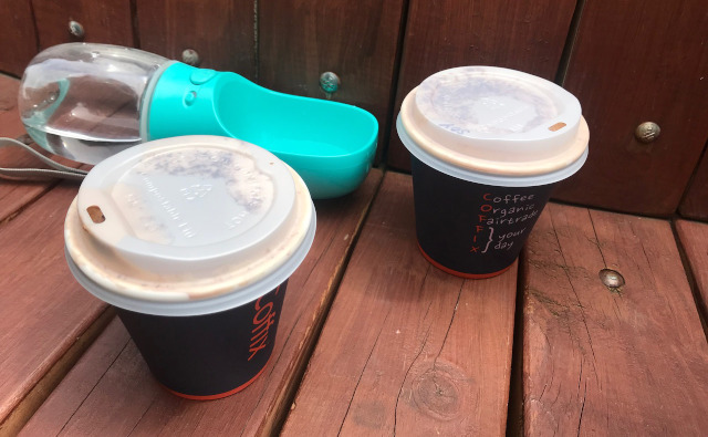 Dog-Friendly Cafes
