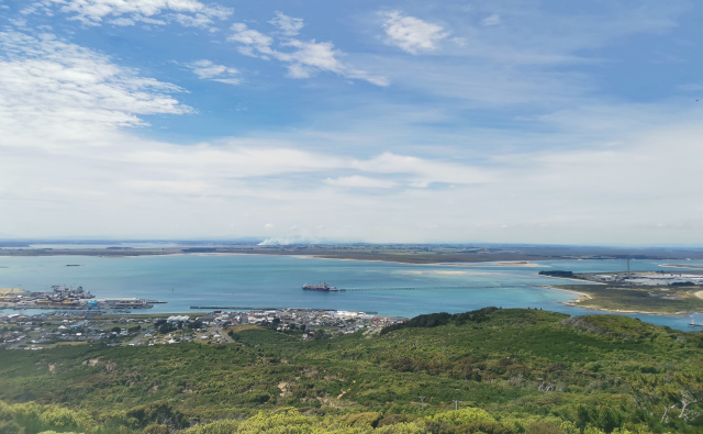 キウイとご対面！？スチュアート島旅行記【前編】