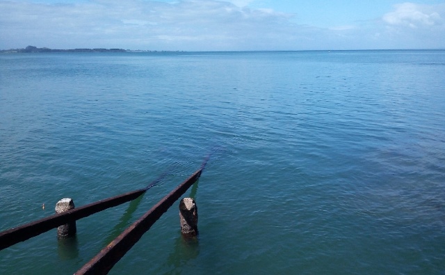 photo-3