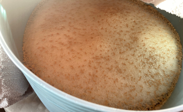 ニュージーランドで楽しむ手作りビールのある暮らし