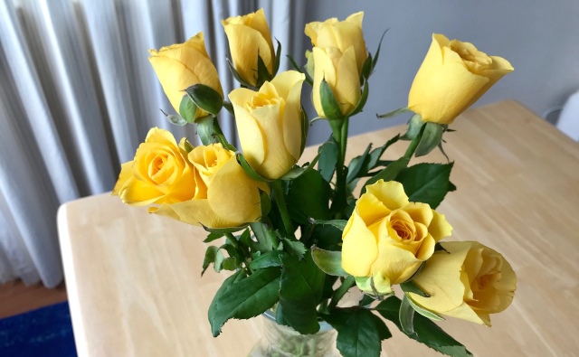 photo-1