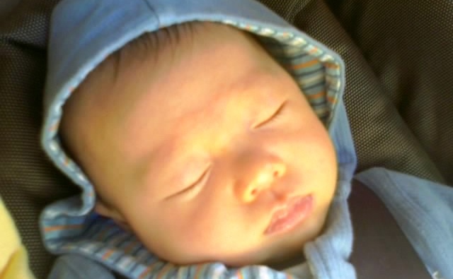 baby