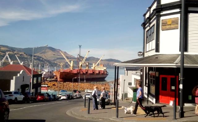 Lyttelton market3