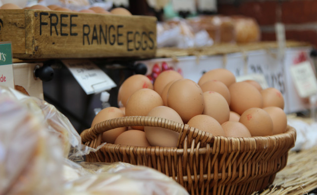 Eggs