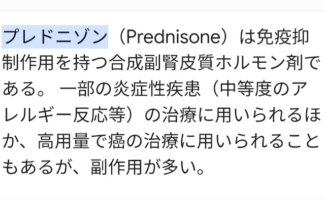 Photo-4