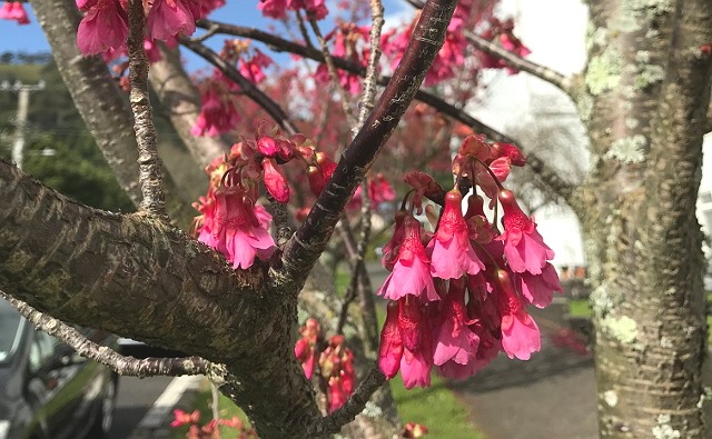 photo-2