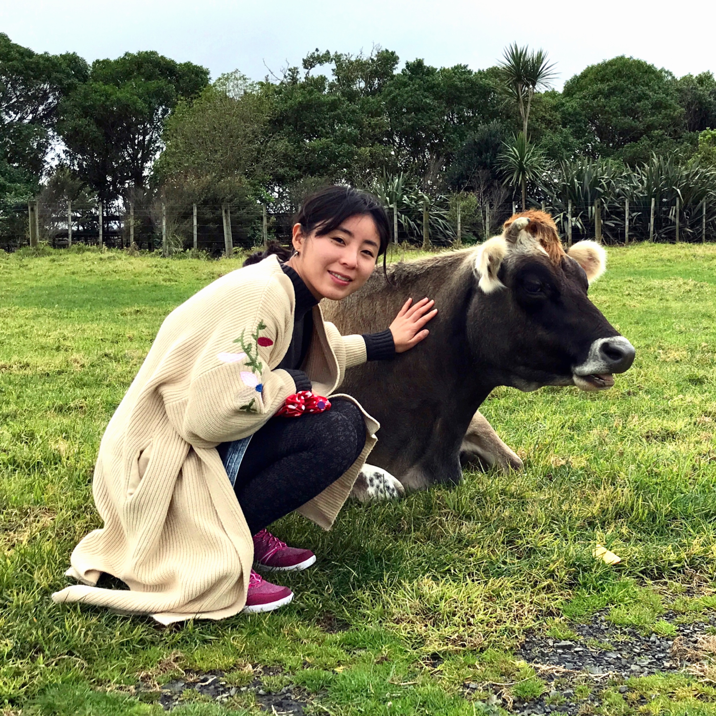 とらいみん