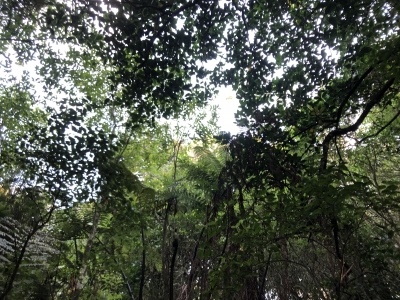 IMG-7047