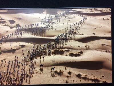 IMG-8611